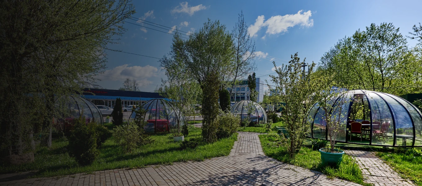 Descriptive Alt Text