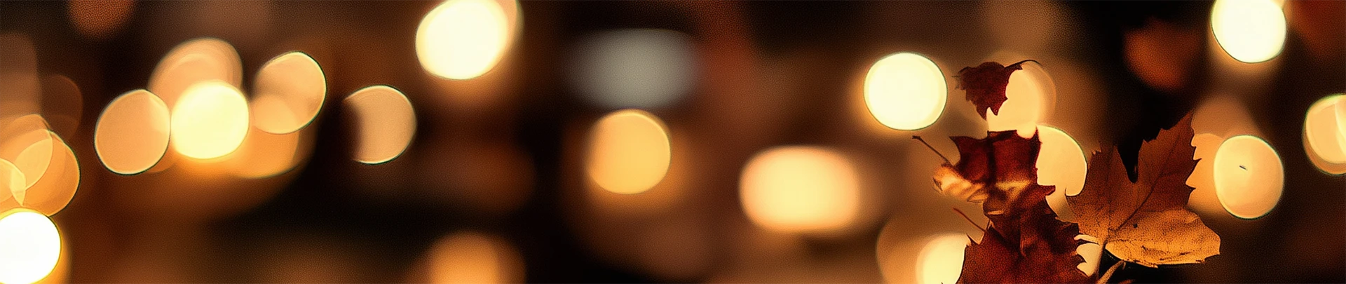 十月舞蹈周末10月11-12日